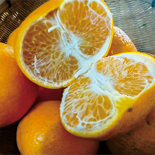 沃柑5kg 商品图3