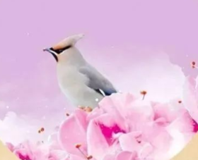  【国画花鸟】国画颜料最全调色法，全是精华！必收藏 