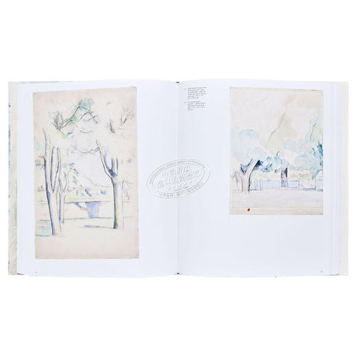 【中商原版】Cezanne: The Drawings 进口艺术 塞尚的绘画作品 商品图4