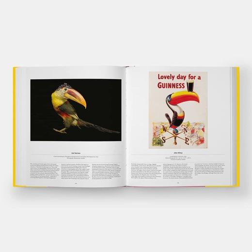 Bird: Exploring the Winged World，鸟:探索有翅膀的世界 科学科普图鉴画册，绘画 商品图4