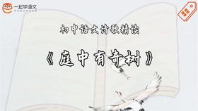 《庭中有奇树》精读