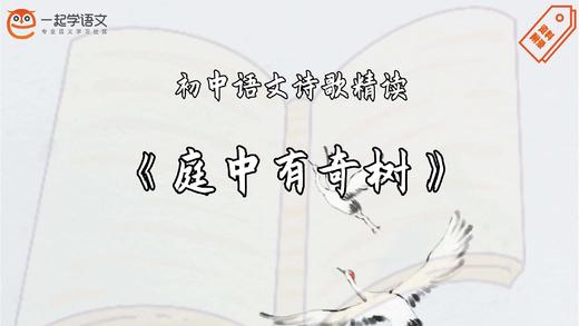 《庭中有奇树》精读 商品图0