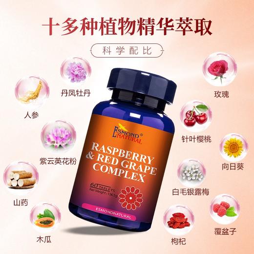 Esmond Natural爱司盟  葆韵牌丹凤牡丹花人参  60粒 商品图4