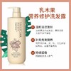 迪菲娜葡萄籽清爽祛屑/乳木果营养修护洗发露800ml 商品缩略图3