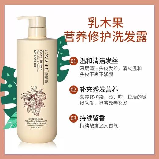 迪菲娜葡萄籽清爽祛屑/乳木果营养修护洗发露800ml 商品图3