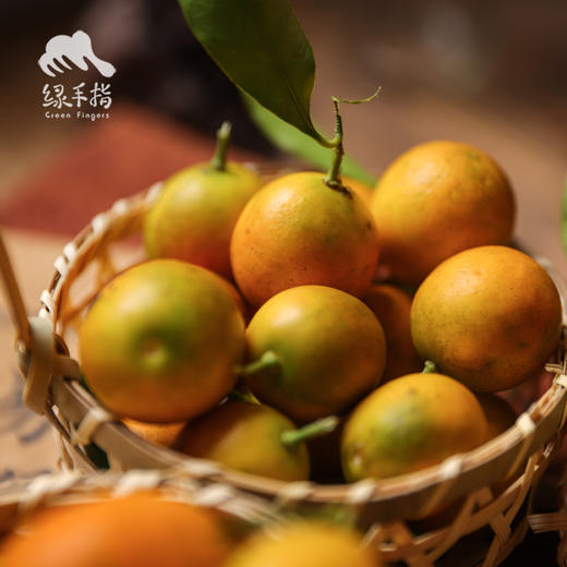 生态金桔  | 合作生产 * Ecological Kumquat  | Coproduction 商品图2