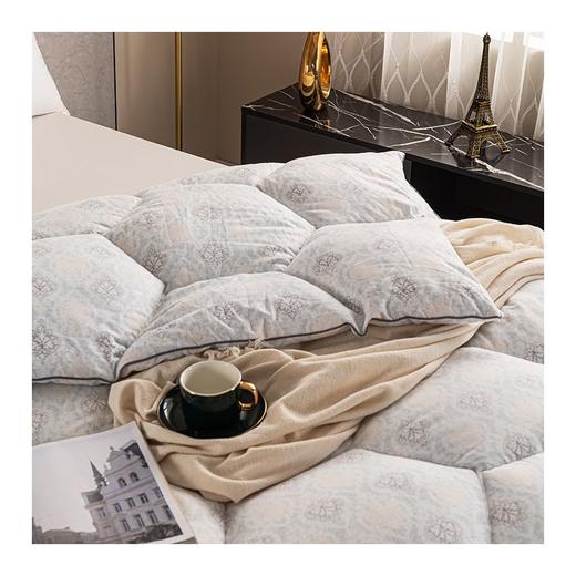 多喜爱　科技冬被〈莱昂羽丝绒加厚冬被〉 商品图5