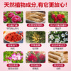 Esmond Natural爱司盟  葆韵牌丹凤牡丹花人参  60粒 商品缩略图2
