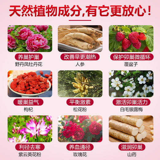 Esmond Natural爱司盟  葆韵牌丹凤牡丹花人参  60粒 商品图2