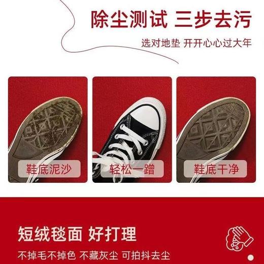 红地垫进门口入户门垫兔年新年卧室脚垫家用卫生间地毯浴室防滑垫 商品图6