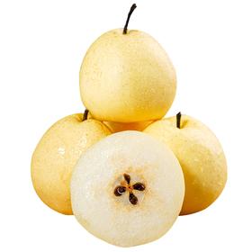 9.9元3斤新疆蜜梨一袋