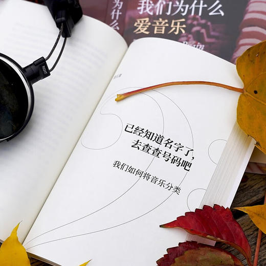 我们为什么爱音乐 生而聆听的脑科学原理 丹尼尔·莱维廷 著 科普读物 商品图1