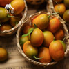 生态金桔  | 合作生产 * Ecological Kumquat  | Coproduction 商品缩略图3
