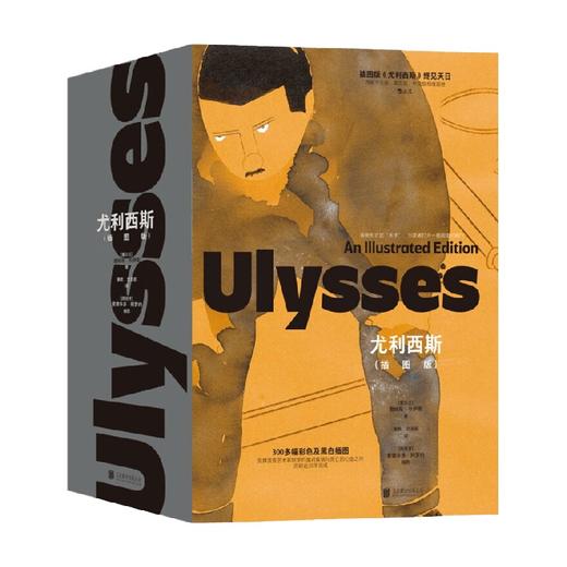 尤利西斯 插图版 詹姆斯·乔伊斯 著 小说 商品图0
