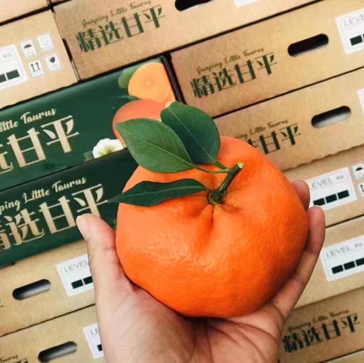 甘平🍊到啦！！销魂推荐！她是春见的升级版，更好吃😋更浓郁，更香甜，超大果盒装 商品图2