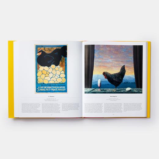 Bird: Exploring the Winged World，鸟:探索有翅膀的世界 科学科普图鉴画册，绘画 商品图7