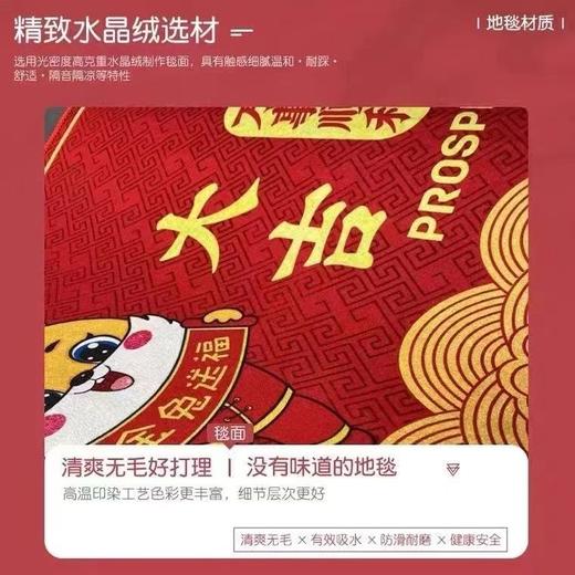 红地垫进门口入户门垫兔年新年卧室脚垫家用卫生间地毯浴室防滑垫 商品图5