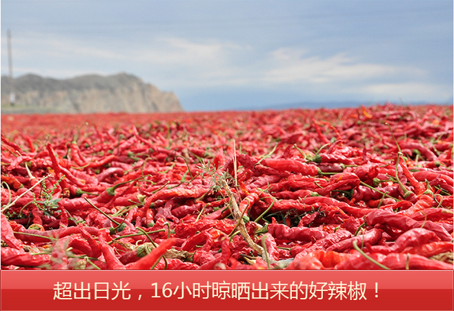 9758a1644d09b3cc1abec6a09ec975bd.jpg 详情页6.jpg