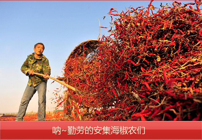 6533d3612404293e534cf78b6ae5f212.jpg 详情页7.jpg