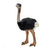 鸵鸟 商品缩略图0