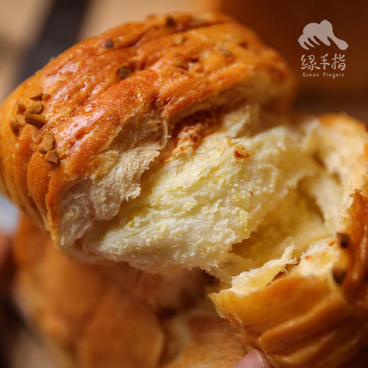 生态吐司（1月24日-2月7日只接单不发货）| 合作生产*Eco-Handmade Toast | Coprodution 商品图5