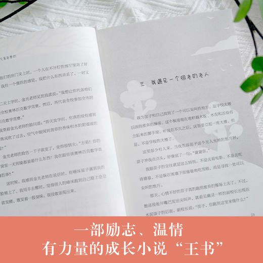 空气是免费的   5年级书目|正版现货速发|名师推荐|小学生课外阅读五年级 商品图1