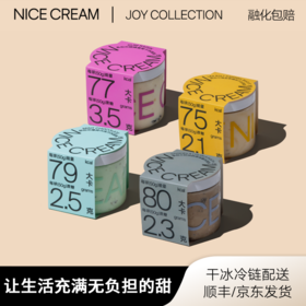奈似/NICE CREAM 健康雪糕 薄荷 朗姆 海盐 麻薯巧克力冰淇淋400g*2罐[福利品]