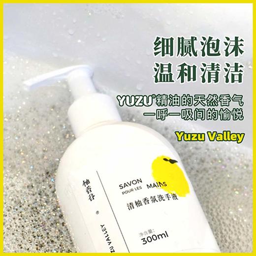 柚香谷 清柚香氛洗手液（300ml） 商品图1