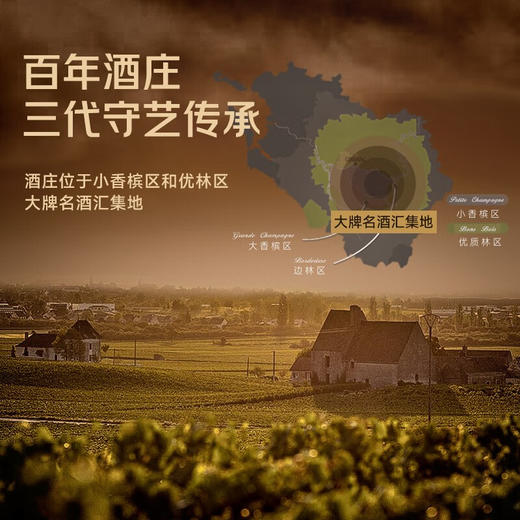 【荣获多项国际大奖】路易马西尼XO白兰地 法国进口洋酒 40%vol 商品图6