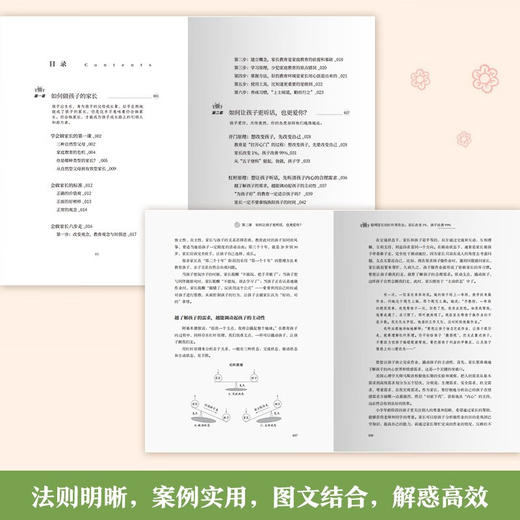 聪明家长的杠杆养育法：家长改变1%，孩子改善99% 齐大辉老师 家庭教育指导读物 养育男孩女孩父母读物 养育指南亲子读物正版书籍 商品图2