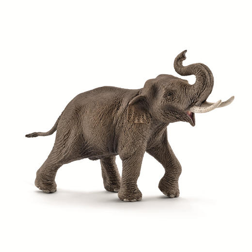 思乐 Schleich 亚洲公象 SCHC14754 Wildlife 适用年龄1.5Y+ 商品图0