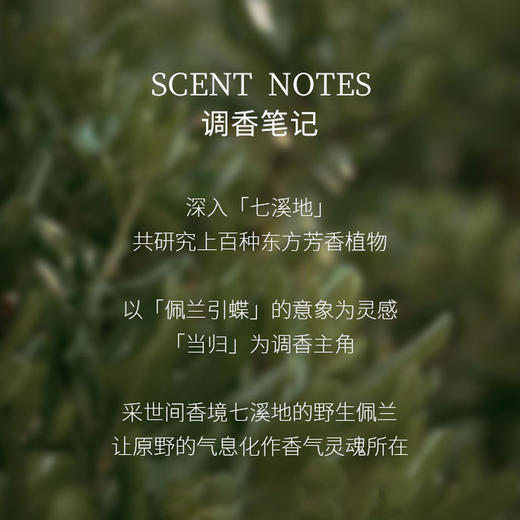 栖溪他乡系列·茉莉素心&佩兰当归 淡香水持久留香高级 商品图10