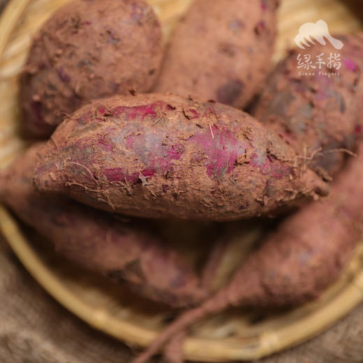 【限时优惠】生态紫薯（果子大小不一，介意慎拍） | 合作生产* Ecopurple sweet potato | Coproduction 商品图5