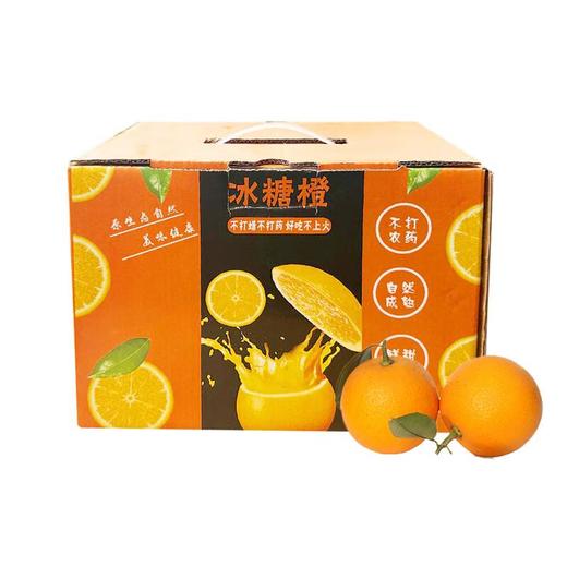 冰糖橙约5斤 商品图0