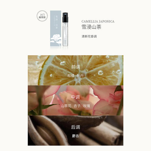 【新手试香推荐】茉莉素心 雪浸山茶  雾月竹影  佩兰当归   桃花檀小样1.5ml 商品图4