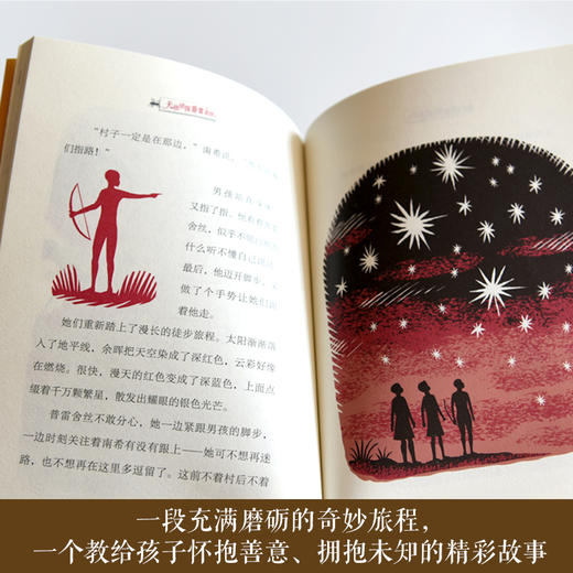 斑马项链    3年级书目|正版现货速发|名师推荐|小学生课外阅读三年级 商品图2