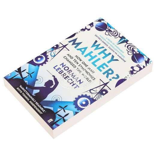 【中商原版】为什么是马勒？英文原版 Why Mahler? How One Man and Ten Symphonies Changed the World Norman Lebrecht 人物 商品图2