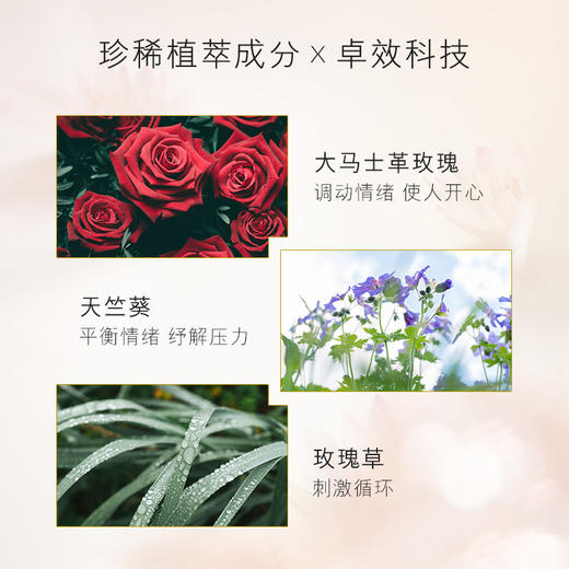 保税直发 AROMATHERAPY ASSOCIATES 雅容玛香薰之家 玫瑰轻盈沐浴油 250mL 商品图4