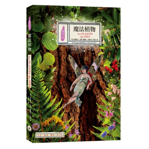 魔法植物 商品图0
