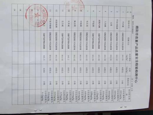 有机巧克力草莓上市了 春草莓 商品图5