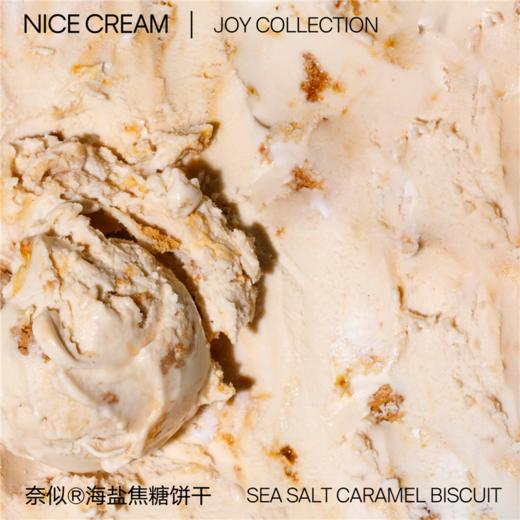 奈似/NICE CREAM 健康雪糕 薄荷 朗姆 海盐 麻薯巧克力冰淇淋400g*2罐[福利品] 商品图2