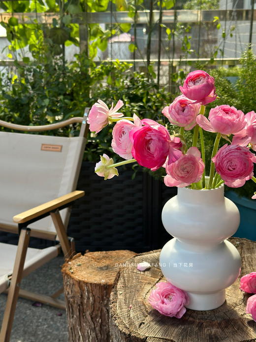 【AB级粉色洋牡丹】5支/份  第二份减10元 （长约40-45cm） 商品图4