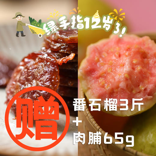 赠品· 胭脂红+猪肉脯（2022） 商品图0