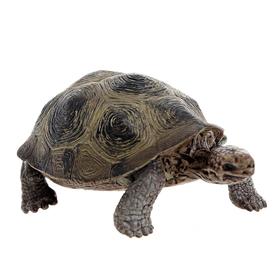 思乐 Schleich 巨型乌龟 SCHC14601 Wildlife 适用年龄3Y+