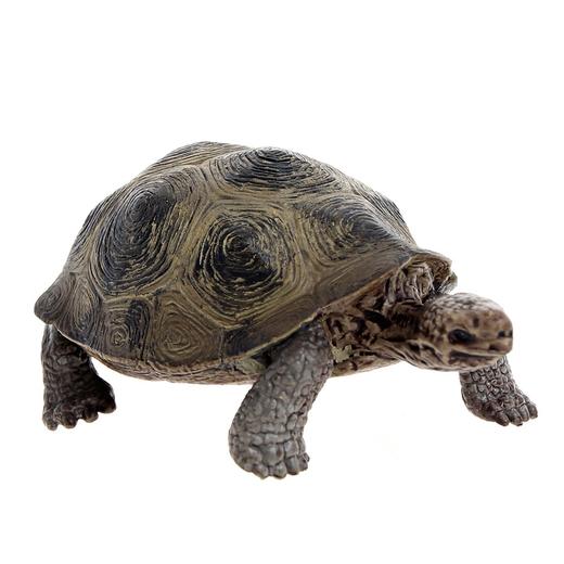 思乐 Schleich 巨型乌龟 SCHC14601 Wildlife 适用年龄3Y+ 商品图0