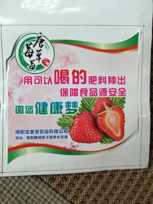 有机巧克力草莓上市了 春草莓 商品图3