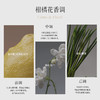 栖溪他乡系列·茉莉素心&佩兰当归 淡香水持久留香高级 商品缩略图3