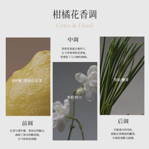 栖溪他乡系列·茉莉素心&佩兰当归 淡香水持久留香高级 商品图3