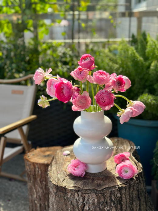 【AB级粉色洋牡丹】5支/份  第二份减10元 （长约40-45cm） 商品图2