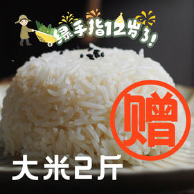 赠品·大米试吃装（2022）